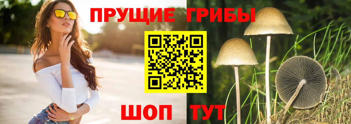 Красноуфимск  Галлюциногенные грибы мицелий  Вход с VPN 